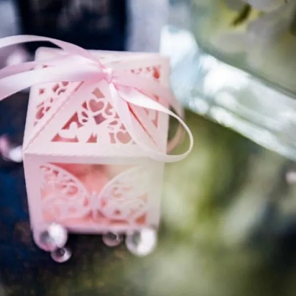 Badaboum 20 Contenants Dragees Cage A Papillon Rose