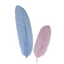 Badaboum 6 Plumes D Co Japan