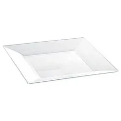 Clearance Assiette Carr E Plastique Transparente R Utilisable 23Cm X12 Theme Eco-Responsable
