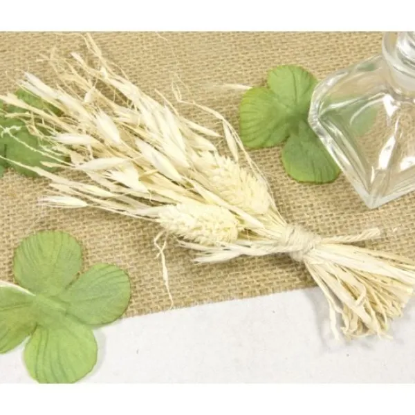 Badaboum Bouquet D'Avoine S Ch
