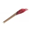 Badaboum Bouquet D'Avoine S Ch Rose Corail