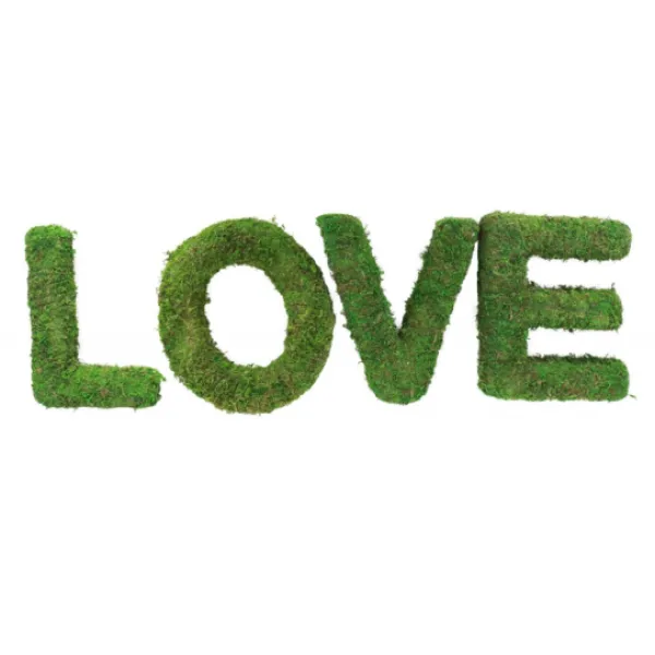 Badaboum Centre De Table 4 Lettres Love En Mousse Verte 20Cm