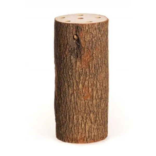 Badaboum Centre De Table Tronc En Bois Naturel 20Cm