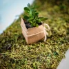Best Chemin De Table Mousse Sur Jute 20Cm Theme Jute