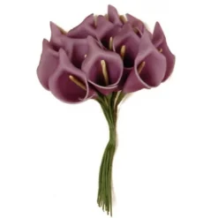 Badaboum Fleur Arum X 12 Pi Ces