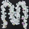 Badaboum Guirlande De Noel Pas Cher Pastille Ronde Blanc Discount