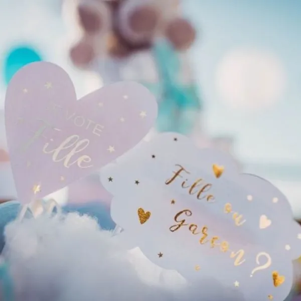 New Kit Photobooth Gender Reveal Fille Ou Gar On X 12 Theme Gender Reveal