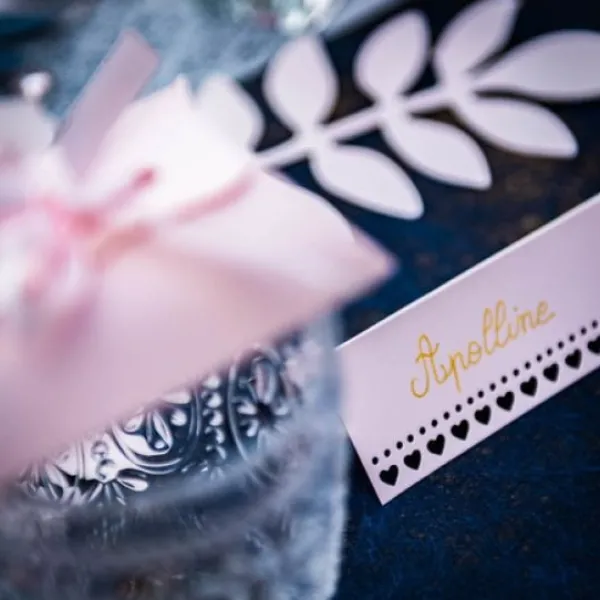 Badaboum Marque Place Carton Avec Petits Coeurs Rose X 10 Pi Ces
