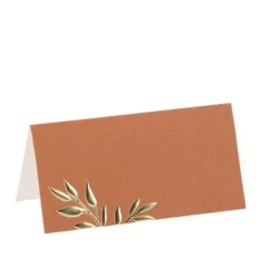Badaboum Marque Place Theme Jolis Brins Terracotta X 10 Pi Ces
