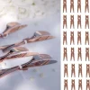 Badaboum Mini Pince Linge En Bois Rose Gold Pour Deco Mariage X 24 Pi Ces