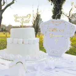 Clearance Pic D Co En Bois Dor Gender Reveal Gar On Ou Fille Theme Gender Reveal