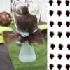 Badaboum Plume De D Coration Chocolat X 20 Pi Ces