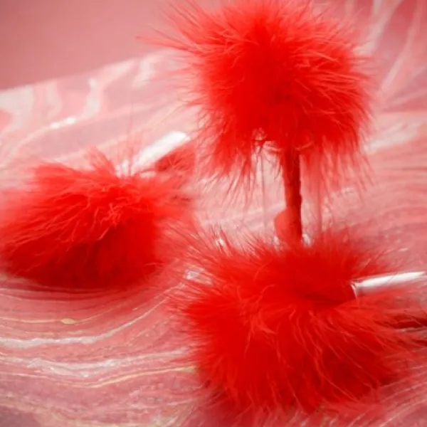 Badaboum Plume De D Coration Rouge 7Cm X 20 Pi Ces