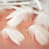 Badaboum Plume Paillet Blanche X 20 Pi Ces