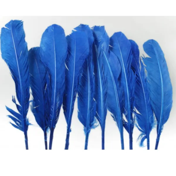 Badaboum Plumes De Dinde Bleu X10Pcs