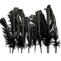 Badaboum Plumes De Dinde Noir X10Pcs