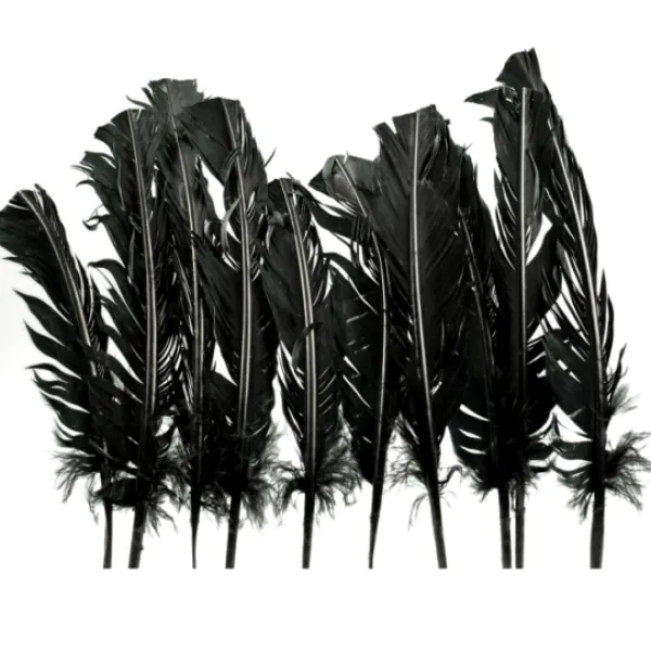 Badaboum Plumes De Dinde Noir X10Pcs