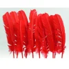 Badaboum Plumes De Dinde Rouge X10Pcs