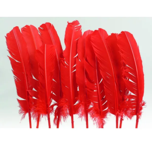 Badaboum Plumes De Dinde Rouge X10Pcs