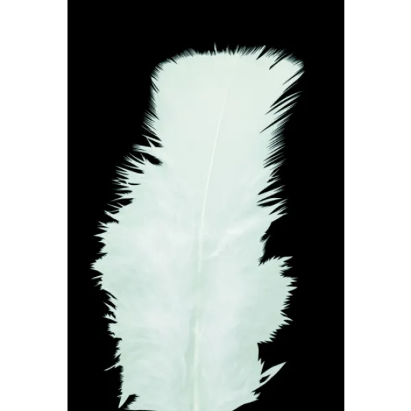 Badaboum Plumes Pieds Plats Blanc X100Pcs