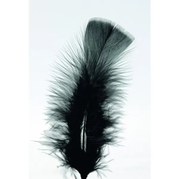 Badaboum Plumes Pieds Plats Noir X100Pcs