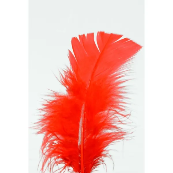 Badaboum Plumes Pieds Plats Rouge X100Pcs