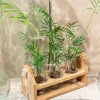 Badaboum Porte 3 Bouteilles En Bois Avec Anse Jute Best