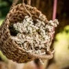 Badaboum Set De 2 Paniers Tress S Naturels Avec Anse