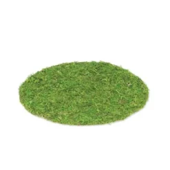 Set De Table Mariage Vegetal 35Cm Theme Cinema