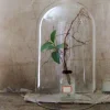 Badaboum Vase Mariage Cloche 45Cm